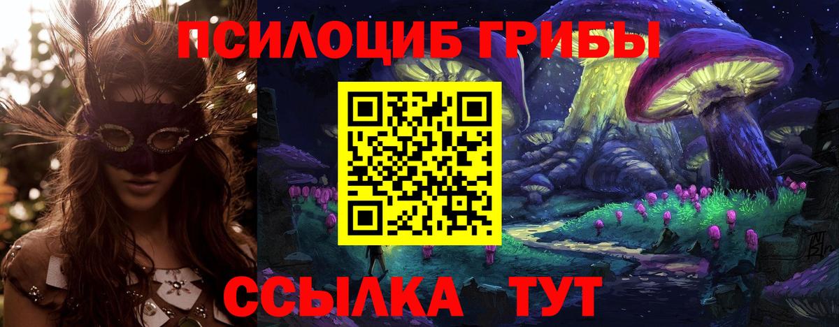 Галлюциногенные грибы мицелий  Вход с VPN  Губкинский 